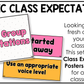 Bright Music Rules & Expectations Posters Elementary Music Classroom Decor