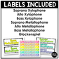 Bright Composition Orff Instrument Labels Elementary Music Classroom Decor Music Posters