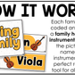 Bright Instrument Families of the Orchestra Posters Elementary Music Classroom Decor
