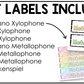 Pastel Composition Orff Instrument Labels Elementary Music Classroom Decor Music Posters
