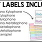 Pastel Orff Instrument Labels Elementary Music Classroom Decor Music Posters