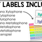Bright Orff Instrument Labels Elementary Music Classroom Decor Music Posters