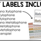 Neutral Orff Instrument Labels Elementary Music Classroom Decor Music Posters