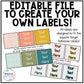 Music Classroom Decor - Classroom Instrument Labels - Modern Oasis